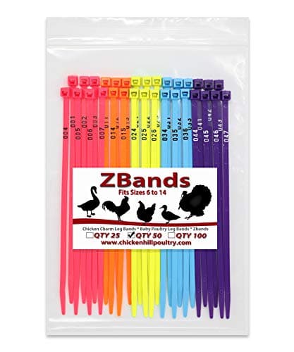 Chicken Hill ZBand Numbered Poultry Leg Bands, 50