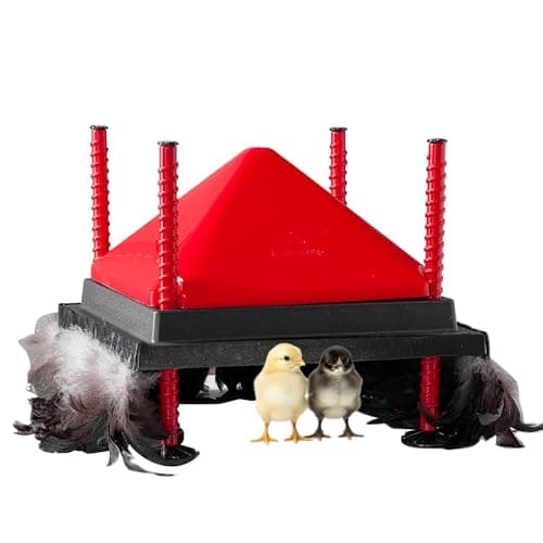 RentACoop 12 in x 12 in Chick Brooder Heating Plate