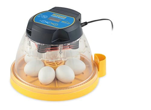 Brinsea Mini II Advance