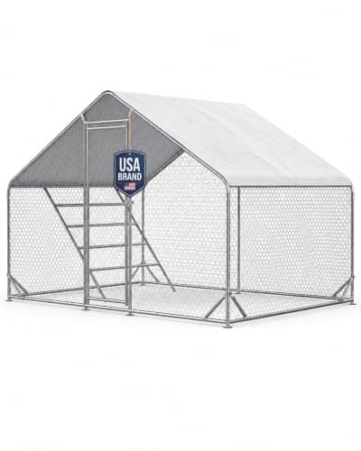 CHIKENCOOP Walk-In Chicken Run, 9.8 x 6.5 ft