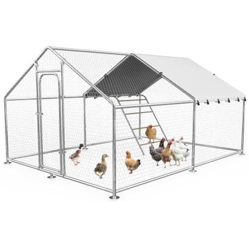 Walk-in poultry run 9.9 x 13.2 ft Metal Run Enclosure