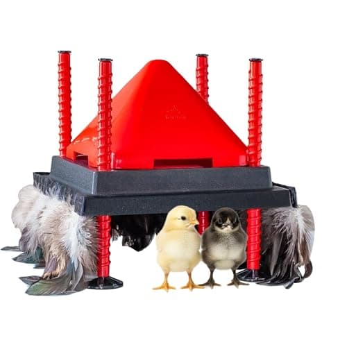 RentACoop 10 in x 10 in Chick Brooder Heating Plate