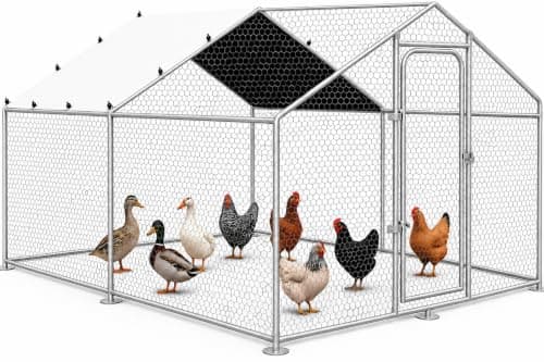 VAGGER Walk-In Chicken Run, 10 x 10 ft