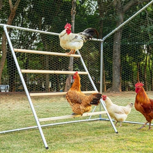 PETSFIT Square Chicken Roosting Perch, 55 x 40 in