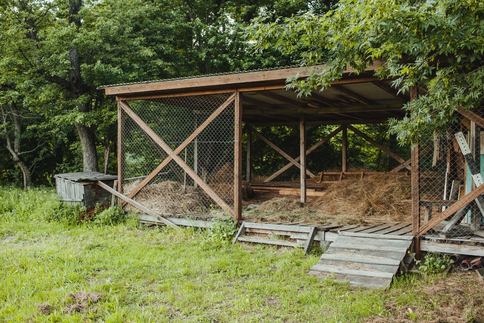 An open-sided wooden poultry shelter with wire mesh walls and a thick layer of loose straw on the floor