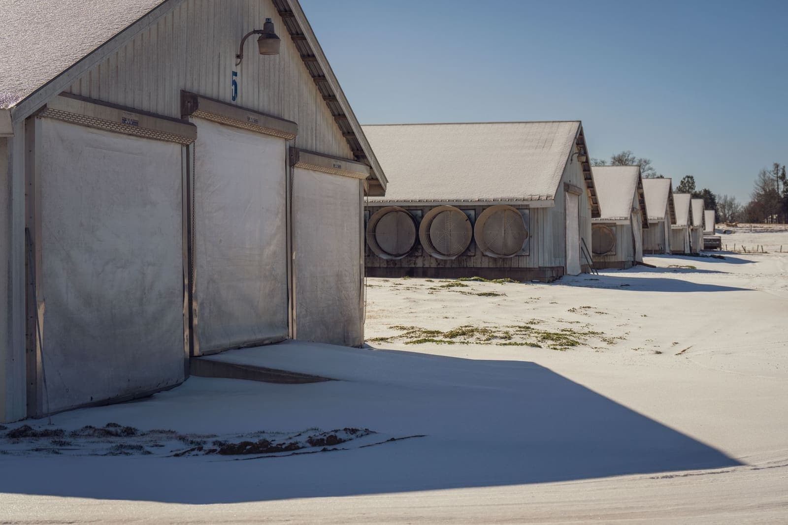A row of snow-covered poultry houses with ventilation fans along one wall