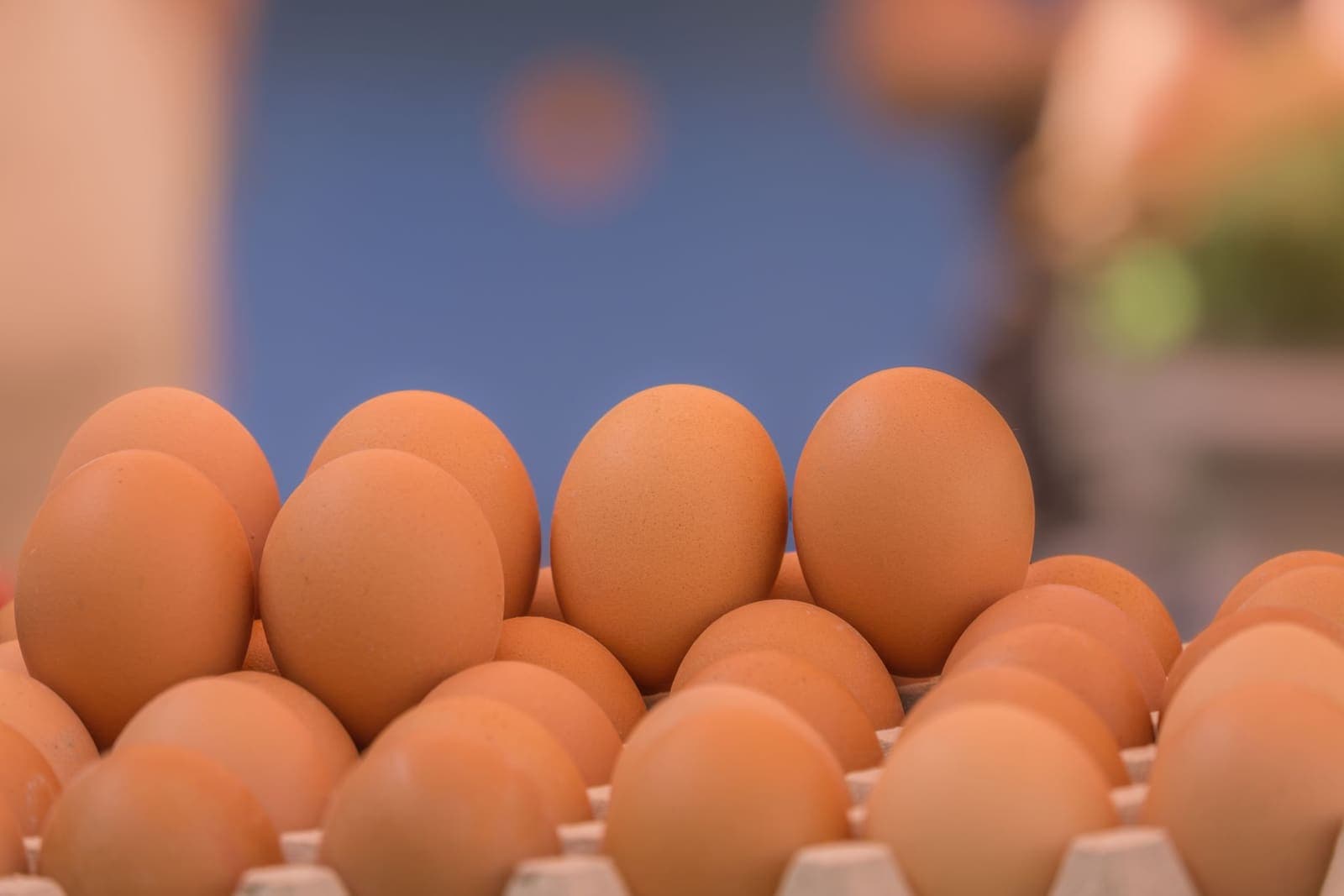 Brown eggs arranged in neat rows on a tray