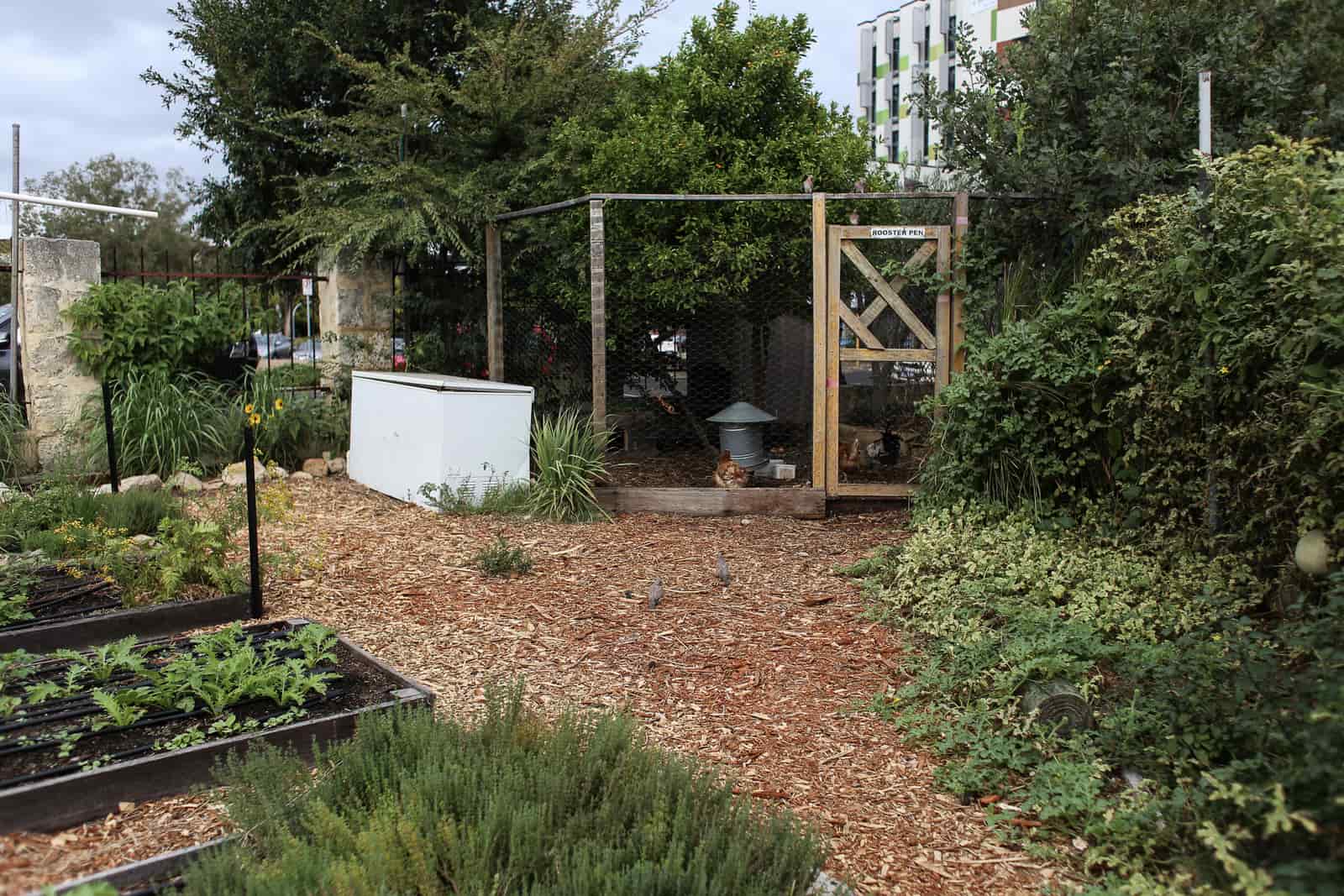 A small wooden chicken coop and run at the end of a suburban garden