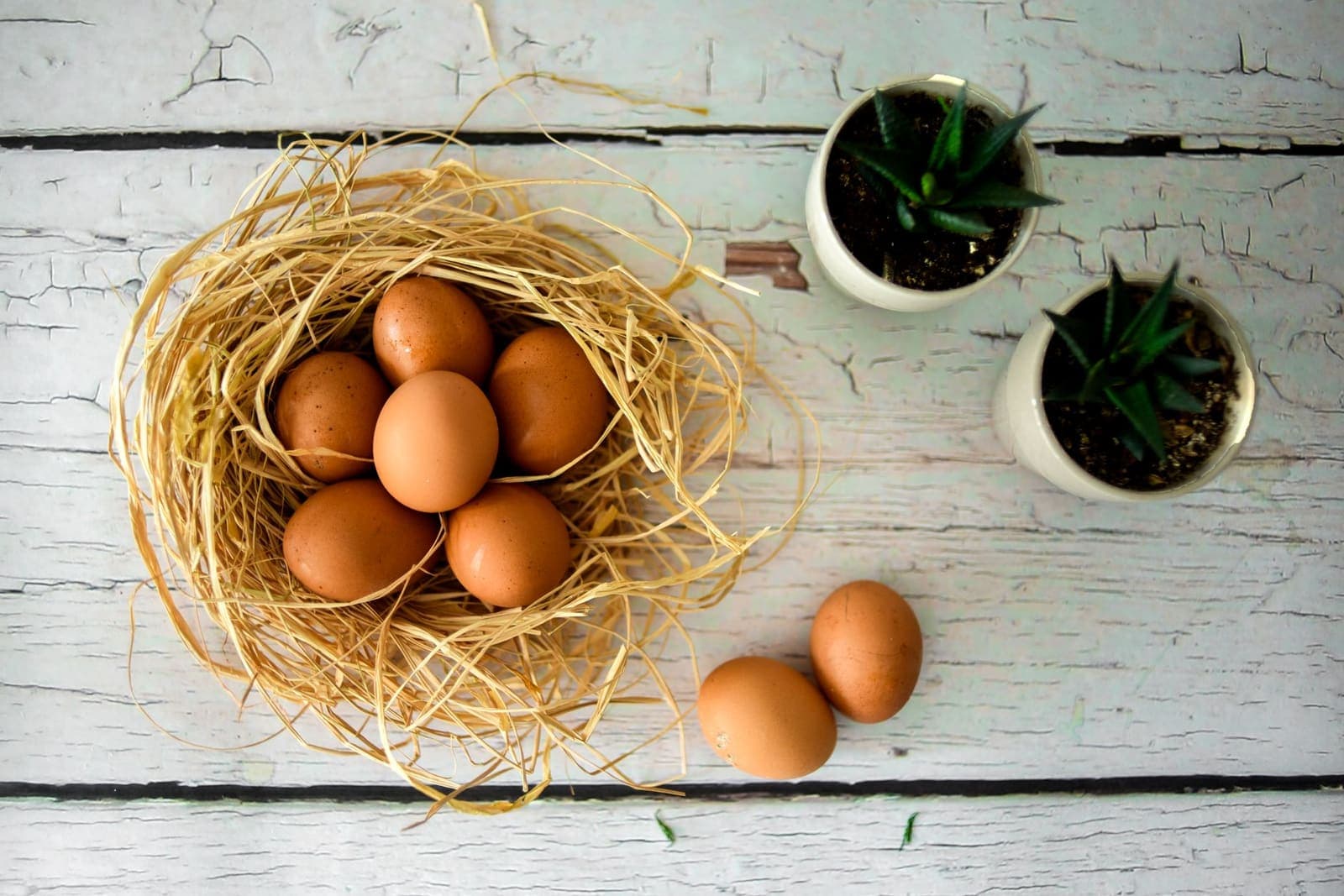 Eggs resting in a straw nest, seen from above